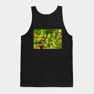 Ripening grapes on the vine Tank Top